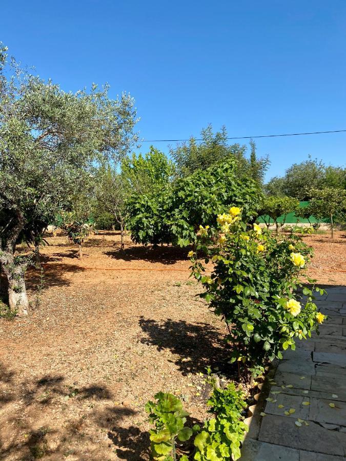 Casa Dominaty Bed & Breakfast Calig Exterior photo